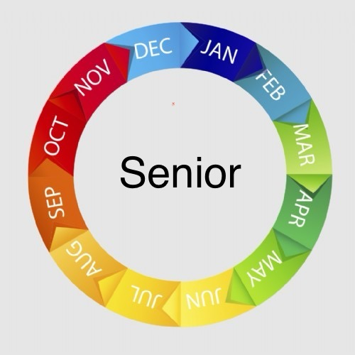 Senior